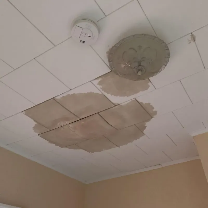 Ceiling Water Damage Repair in Darnestown, MD