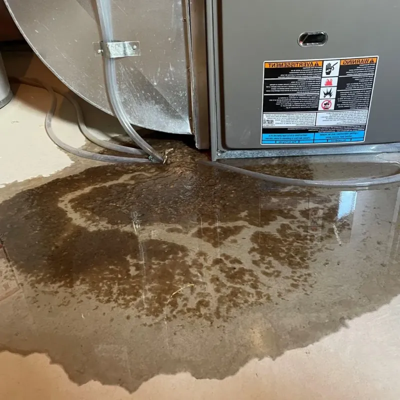 Pipe Burst and Leak Restoration in Darnestown, MD